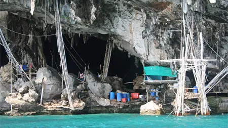 Viking cave, Phi Phi Leh